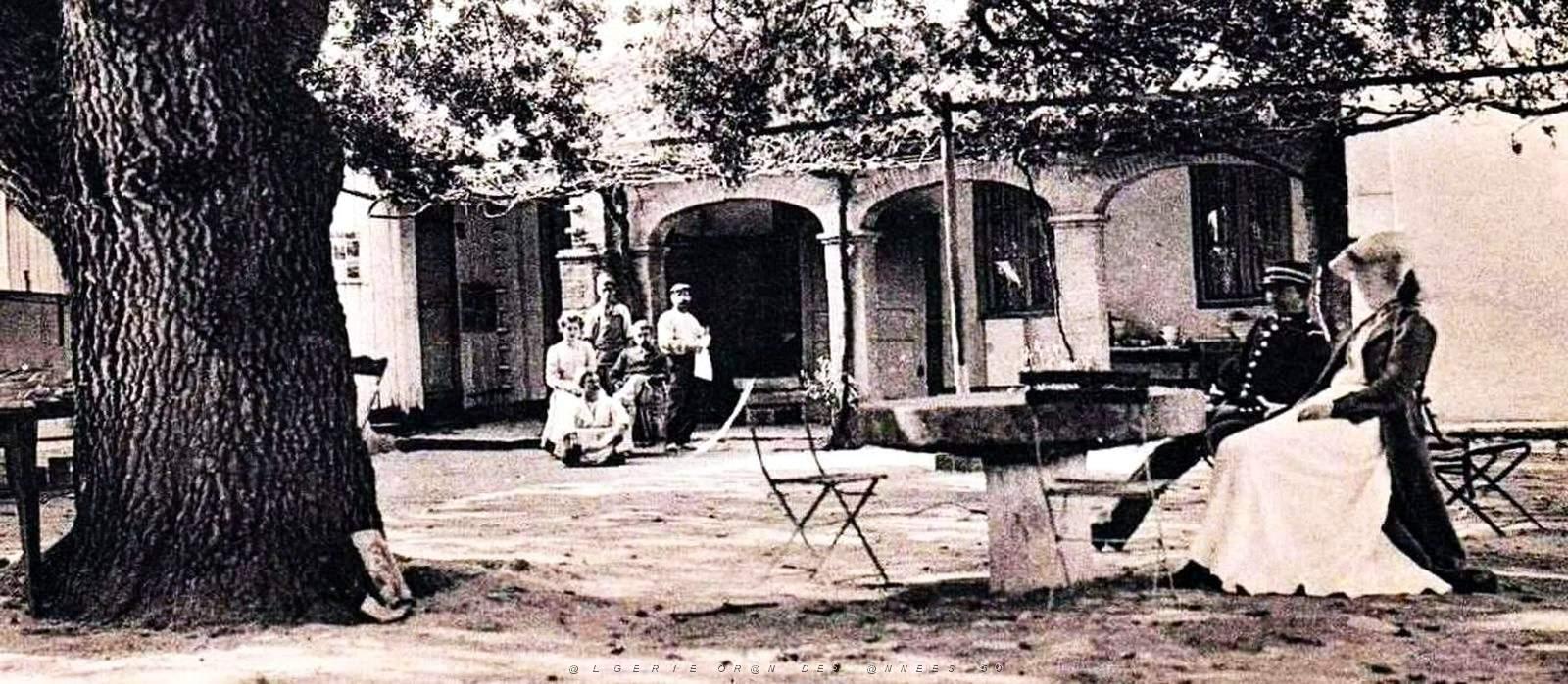 1901- Hammam-Meskoutine - Arbre gignatesque - Arcades du Salon2 .jpg